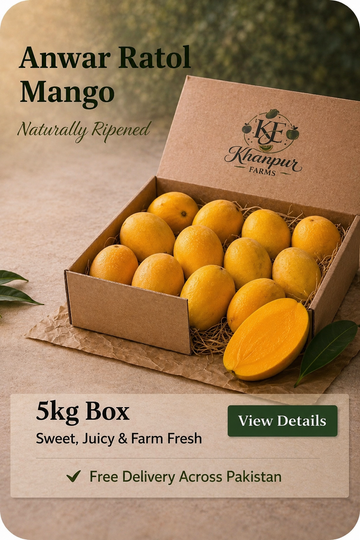 Anwar Ratol Mango — Bold, Fragrant & Unforgettable - Harvesting 10th June