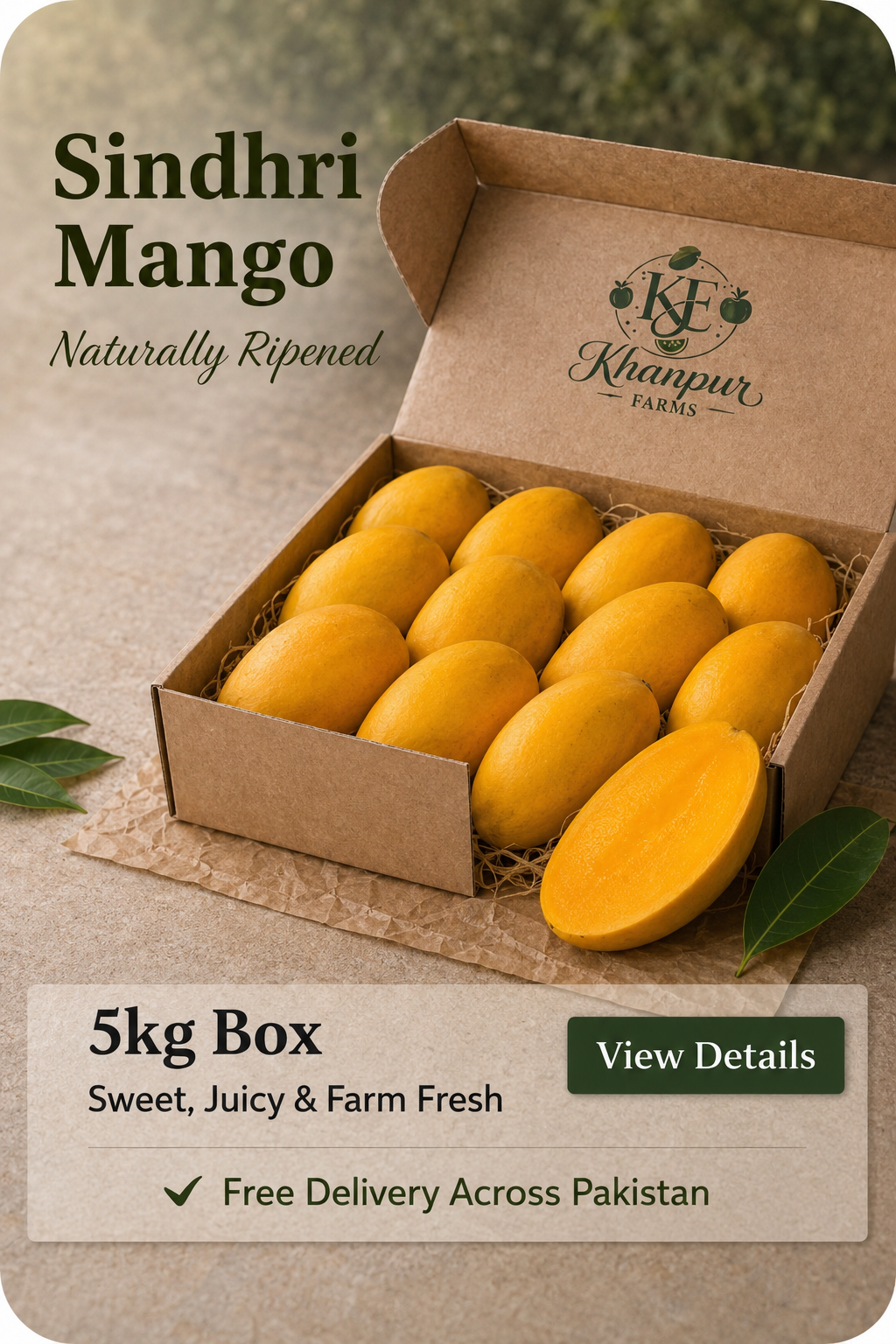 Sindhri Mango — Smooth, Creamy & Made for Indulgence - Harvesting 20th June