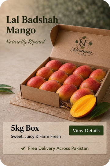 Lal Badshah Mango — Bold in Color, Rich in Flavor - Harvesting 7th Aug